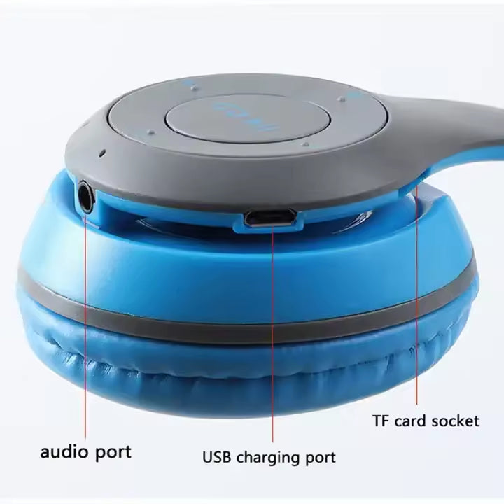 P47 Wireless Headphones with Microphone | Bluetooth Foldable Headset | FM Radio Support | Best for PC, TV, Smartphones & Tablets